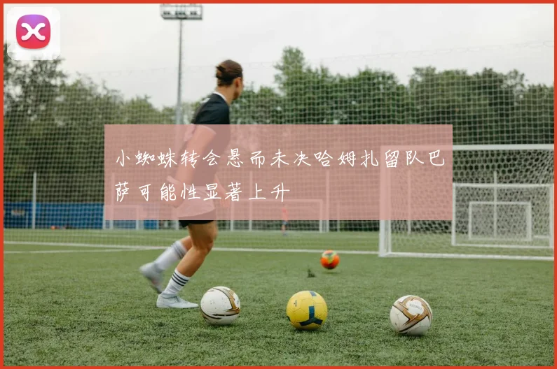 小蜘蛛转会悬而未决哈姆扎留队巴萨可能性显著上升